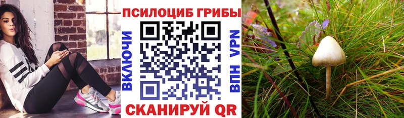 Псилоцибиновые грибы ЛСД  Сыктывкар 