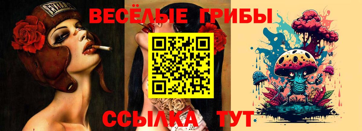 Галлюциногенные грибы Psilocybine cubensis Сыктывкар