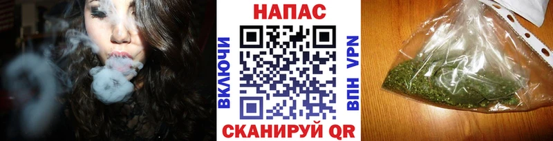 Шишки марихуана сатива  Сыктывкар 